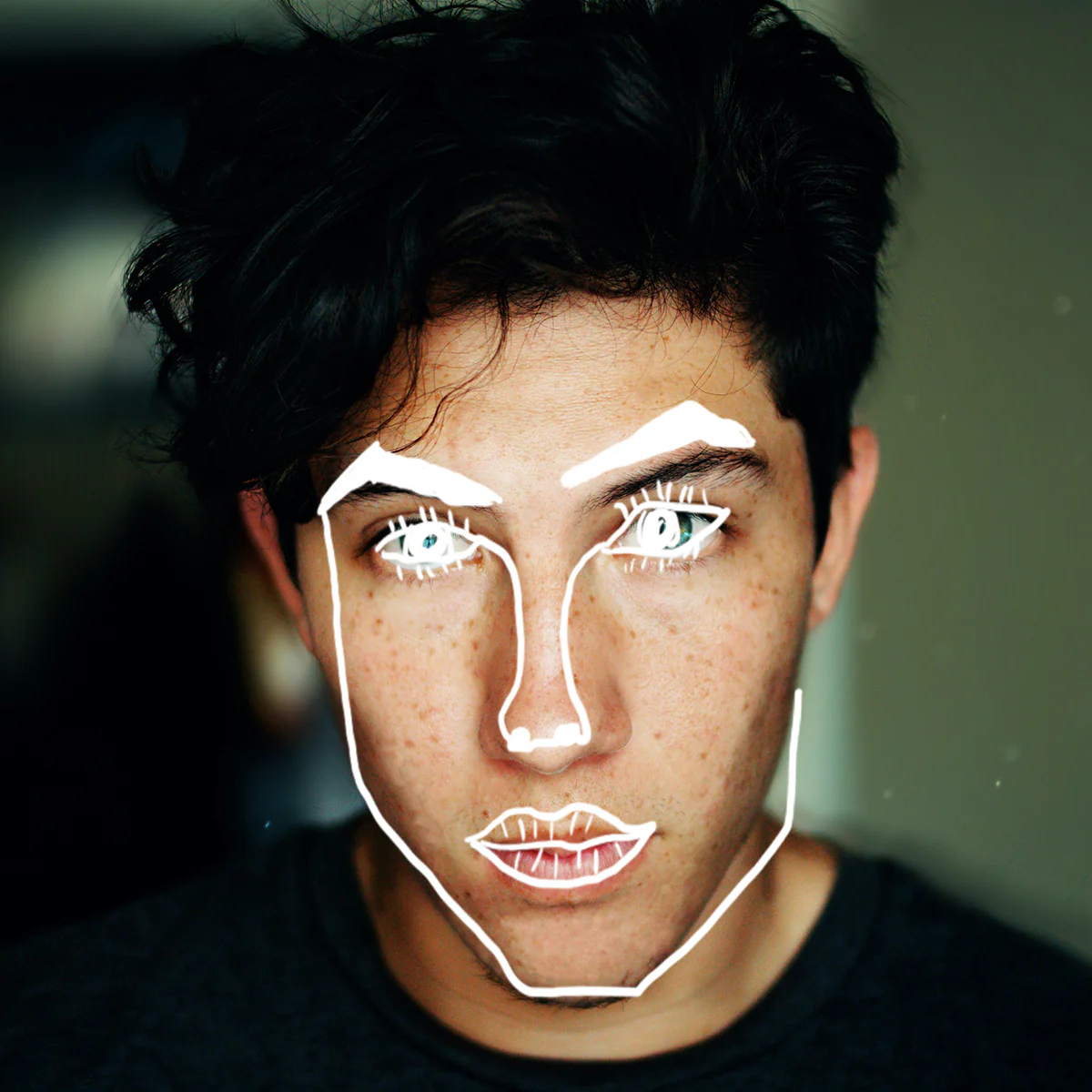 Disclosure Face Effect for Final Cut Pro - Image 3